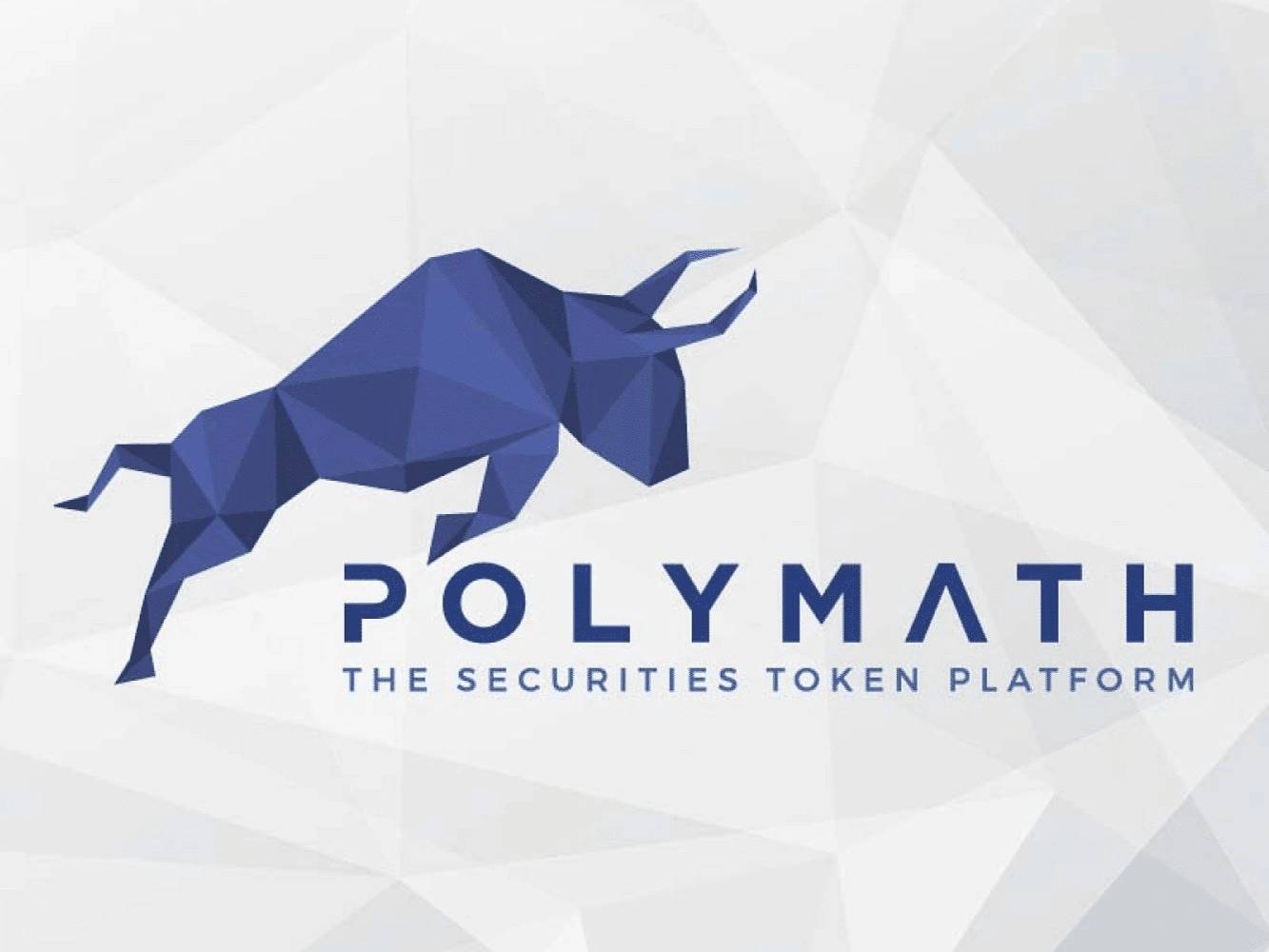 Polymath → Blockchain-powered RWA infrastructure logo